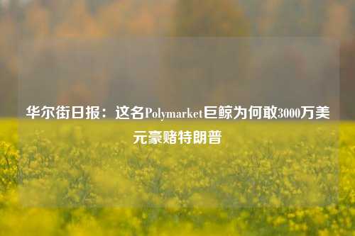 华尔街日报：这名Polymarket巨鲸为何敢3000万美元豪赌特朗普