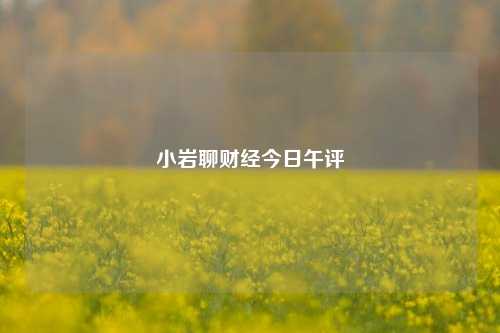 小岩聊财经今日午评