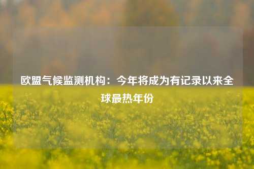 欧盟气候监测机构：今年将成为有记录以来全球最热年份