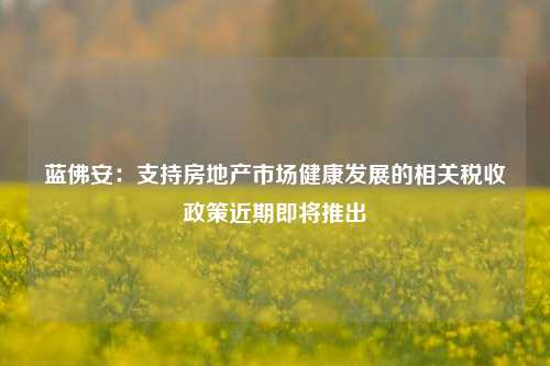 蓝佛安：支持房地产市场健康发展的相关税收政策近期即将推出