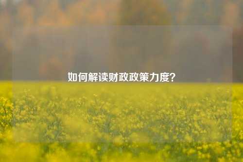 如何解读财政政策力度？