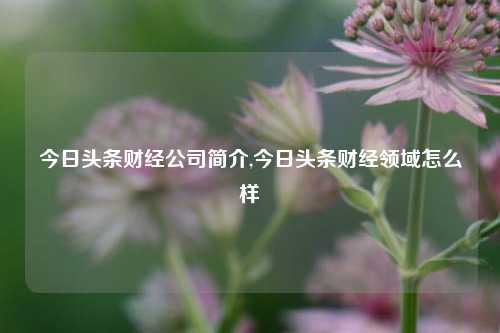 今日头条财经公司简介,今日头条财经领域怎么样