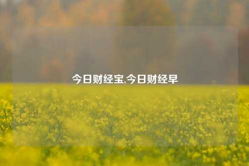 今日财经宝,今日财经早