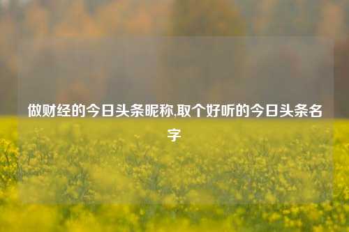 做财经的今日头条昵称,取个好听的今日头条名字