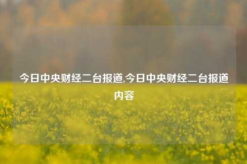 今日中央财经二台报道,今日中央财经二台报道内容