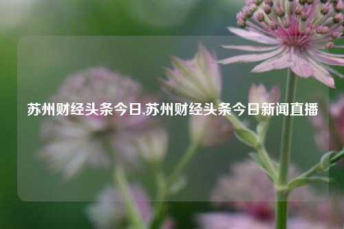 苏州财经头条今日,苏州财经头条今日新闻直播