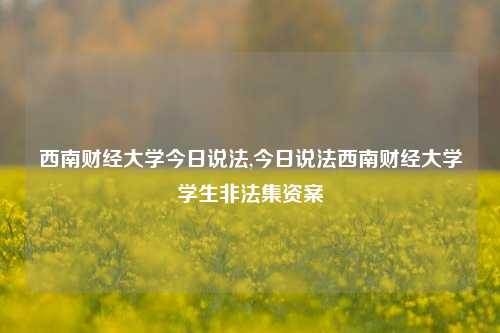 西南财经大学今日说法,今日说法西南财经大学学生非法集资案