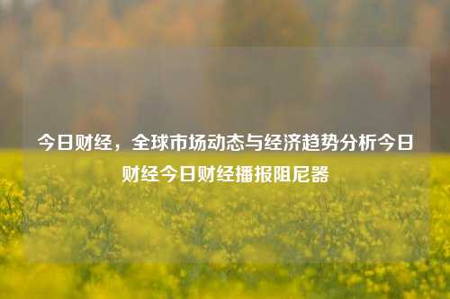 今日财经，全球市场动态与经济趋势分析今日财经今日财经播报阻尼器