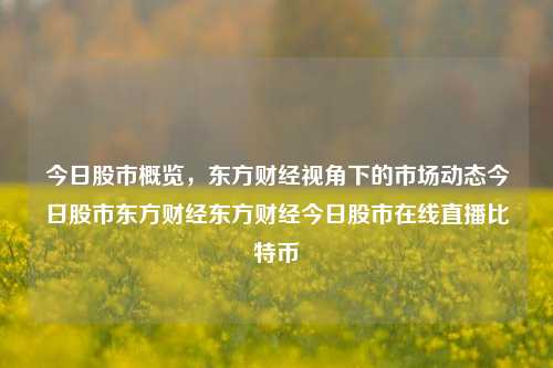 今日股市概览，东方财经视角下的市场动态今日股市东方财经东方财经今日股市在线直播比特币