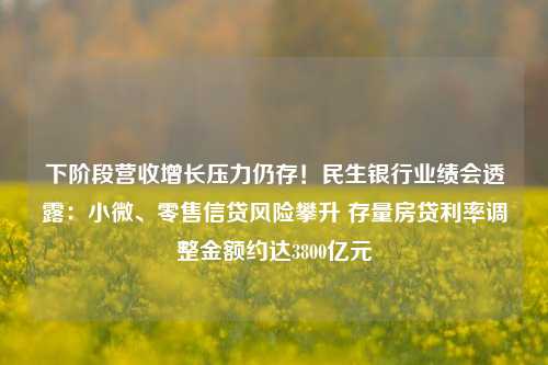 下阶段营收增长压力仍存！民生银行业绩会透露：小微、零售信贷风险攀升 存量房贷利率调整金额约达3800亿元