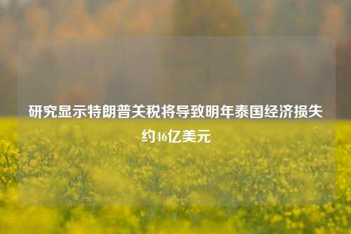 研究显示特朗普关税将导致明年泰国经济损失约46亿美元