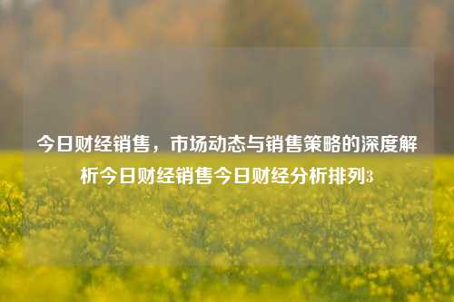 今日财经销售，市场动态与销售策略的深度解析今日财经销售今日财经分析排列3