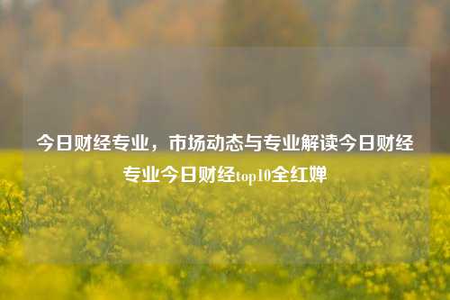 今日财经专业，市场动态与专业解读今日财经专业今日财经top10全红婵