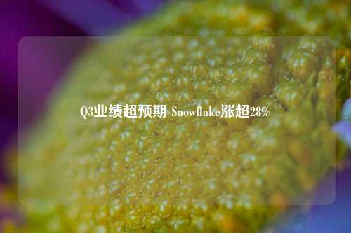 Q3业绩超预期 Snowflake涨超28%