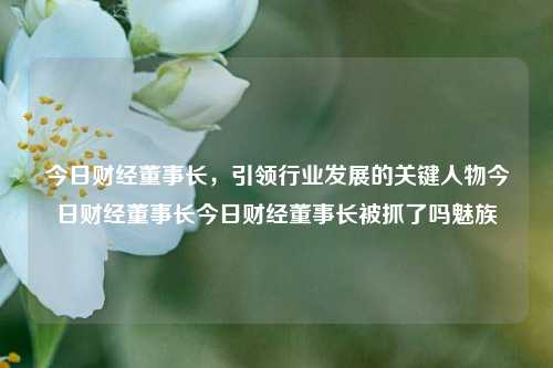 今日财经董事长，引领行业发展的关键人物今日财经董事长今日财经董事长被抓了吗魅族