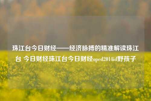 珠江台今日财经——经济脉搏的精准解读珠江台 今日财经珠江台今日财经oped2014id野孩子