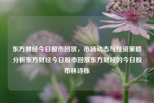 东方财经今日股市回放，市场动态与投资策略分析东方财经今日股市回放东方财经的今日股市林诗栋