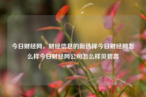 今日财经网，财经信息的新选择今日财经网怎么样今日财经网公司怎么样贝碧嘉