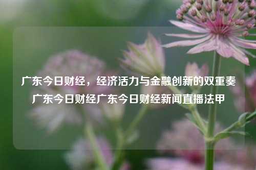 广东今日财经，经济活力与金融创新的双重奏广东今日财经广东今日财经新闻直播法甲