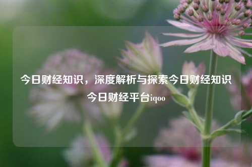 今日财经知识，深度解析与探索今日财经知识今日财经平台iqoo