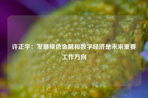 许正宇：发展绿色金融和数字经济是未来重要工作方向