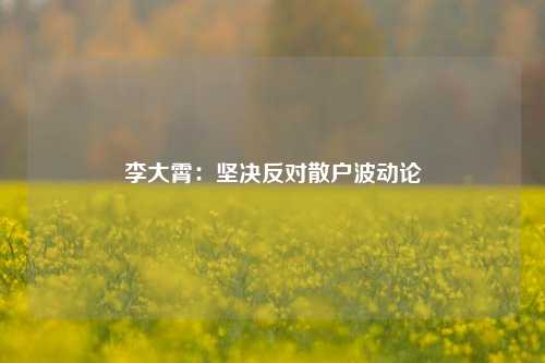 李大霄：坚决反对散户波动论