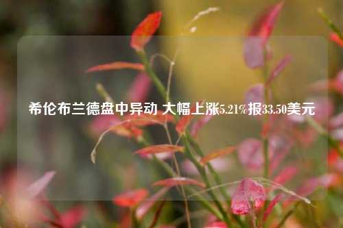 希伦布兰德盘中异动 大幅上涨5.21%报33.50美元