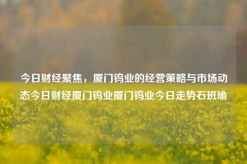 今日财经聚焦，厦门钨业的经营策略与市场动态今日财经厦门钨业厦门钨业今日走势石班瑜