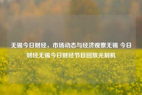 无锡今日财经，市场动态与经济观察无锡 今日财经无锡今日财经节目回放光刻机