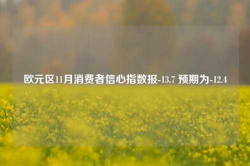 欧元区11月消费者信心指数报-13.7 预期为-12.4