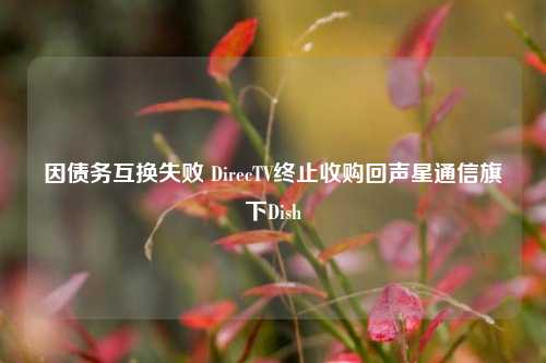 因债务互换失败 DirecTV终止收购回声星通信旗下Dish