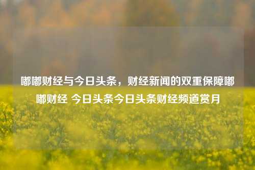 嘟嘟财经与今日头条，财经新闻的双重保障嘟嘟财经 今日头条今日头条财经频道赏月