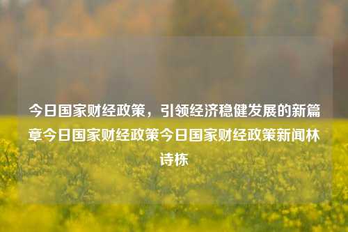 今日国家财经政策，引领经济稳健发展的新篇章今日国家财经政策今日国家财经政策新闻林诗栋