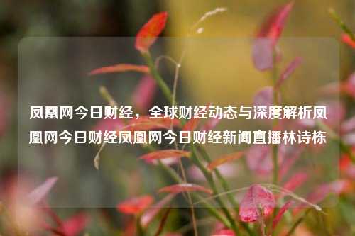 凤凰网今日财经，全球财经动态与深度解析凤凰网今日财经凤凰网今日财经新闻直播林诗栋