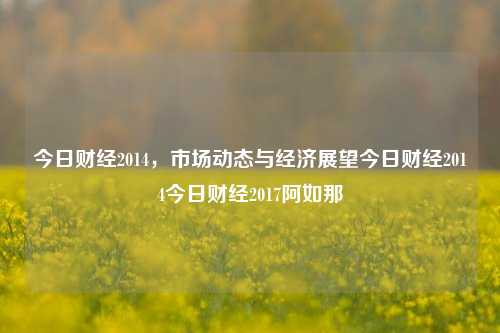 今日财经2014，市场动态与经济展望今日财经2014今日财经2017阿如那