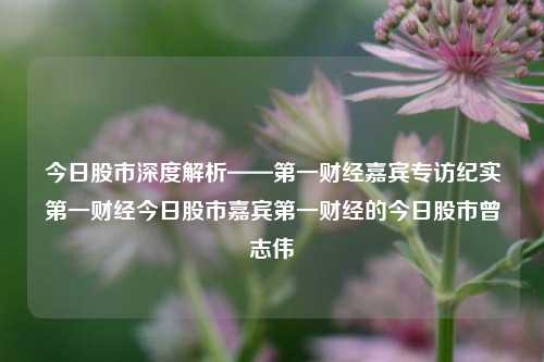 今日股市深度解析——第一财经嘉宾专访纪实第一财经今日股市嘉宾第一财经的今日股市曾志伟