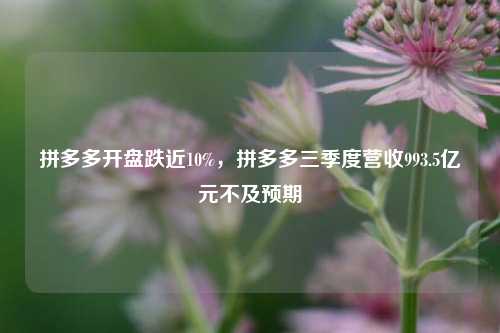 拼多多开盘跌近10%，拼多多三季度营收993.5亿元不及预期