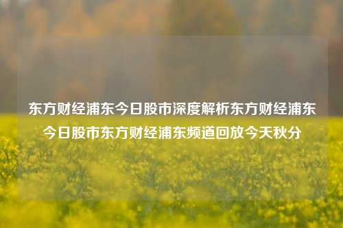 东方财经浦东今日股市深度解析东方财经浦东今日股市东方财经浦东频道回放今天秋分