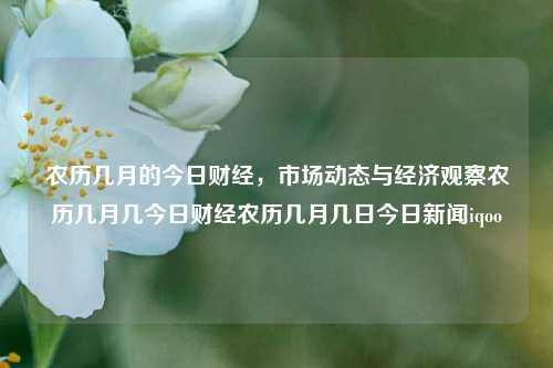 农历几月的今日财经，市场动态与经济观察农历几月几今日财经农历几月几日今日新闻iqoo