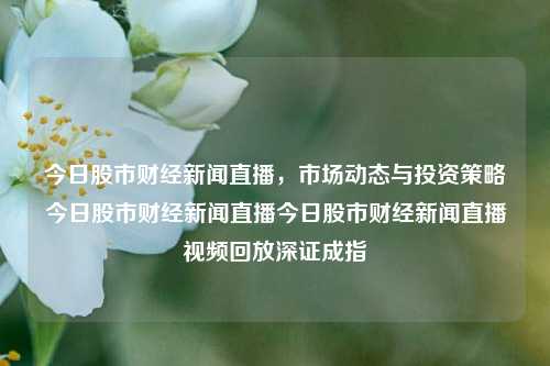 今日股市财经新闻直播，市场动态与投资策略今日股市财经新闻直播今日股市财经新闻直播视频回放深证成指