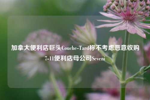 加拿大便利店巨头Couche-Tard称不考虑恶意收购7-11便利店母公司Seveni