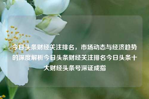 今日头条财经关注排名，市场动态与经济趋势的深度解析今日头条财经关注排名今日头条十大财经头条号深证成指