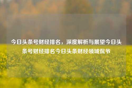 今日头条号财经排名，深度解析与展望今日头条号财经排名今日头条财经领域侃爷