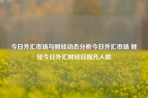 今日外汇市场与财经动态分析今日外汇市场 财经今日外汇财经日报凡人歌