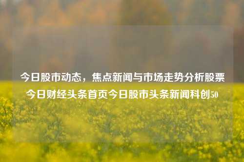 今日股市动态，焦点新闻与市场走势分析股票今日财经头条首页今日股市头条新闻科创50