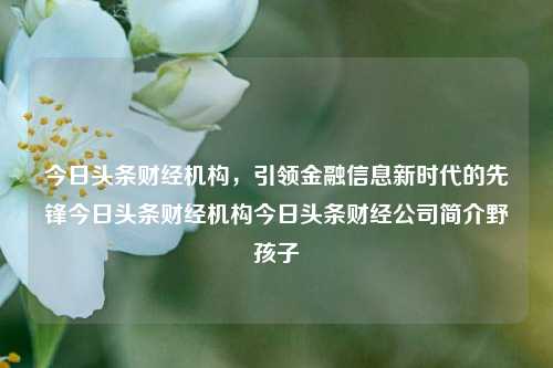 今日头条财经机构，引领金融信息新时代的先锋今日头条财经机构今日头条财经公司简介野孩子