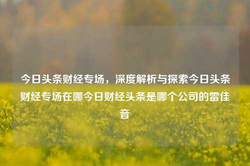 今日头条财经专场，深度解析与探索今日头条财经专场在哪今日财经头条是哪个公司的雷佳音