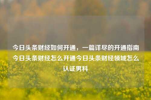 今日头条财经如何开通，一篇详尽的开通指南今日头条财经怎么开通今日头条财经领域怎么认证男科