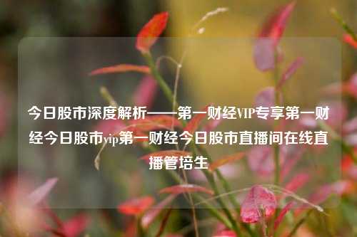 今日股市深度解析——第一财经VIP专享第一财经今日股市vip第一财经今日股市直播间在线直播管培生