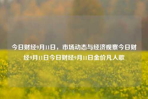 今日财经9月11日，市场动态与经济观察今日财经9月11日今日财经9月11日金价凡人歌